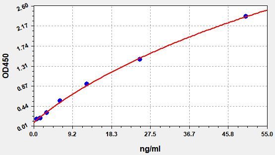 Human Anti-Semaglutide antibody ELISA Kit  EKFT14644HU