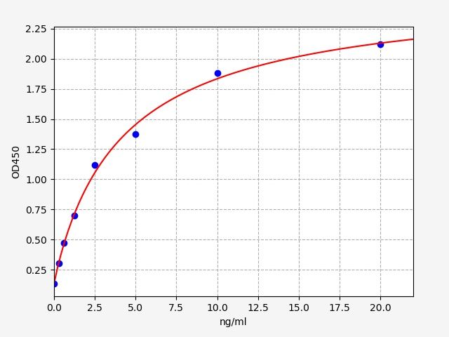 Human Calcium/calmodulin-dependent protein kinase type II subunit beta (CAMK2B) ELISA Kit EKFT14775HU