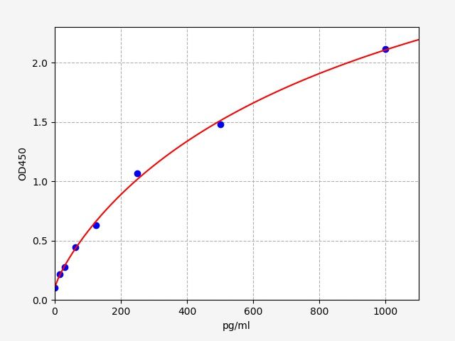Human Enolase 3 (ENO3) ELISA Kit EKFT14880HU
