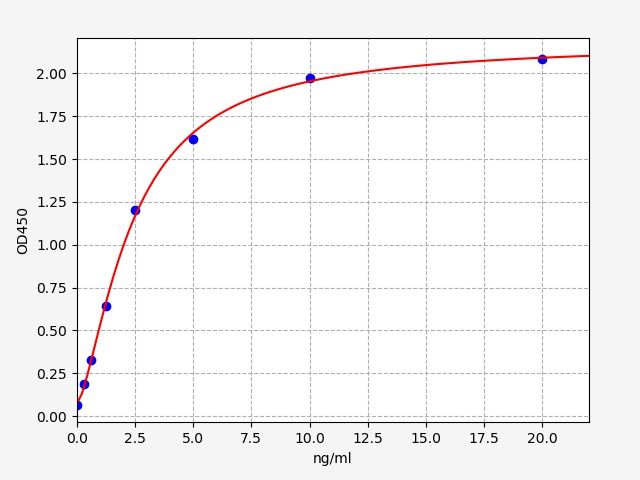 Human HLA class II histocompatibility antigen, DQ beta 2 chain (HLA-DQB2) ELISA Kit EKFT14994HU