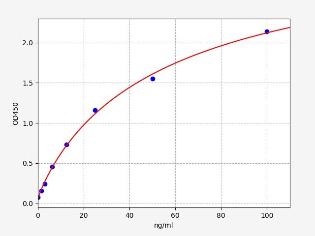 Horse Immunoglobulin G (IgG) ELISA Kit EKFT15143HR