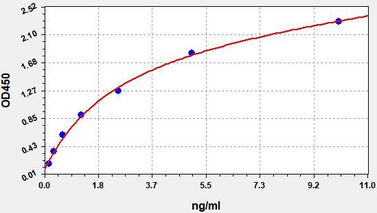 Mouse Nitric Oxide Synthase 1, Neuronal (NOS1/nNOS) ELISA Kit EKFT16080MU