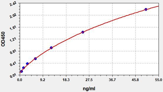 Mouse Gliadin Immunoglobulin E (Gliadin-IgE) ELISA Kit EKFT16657MU