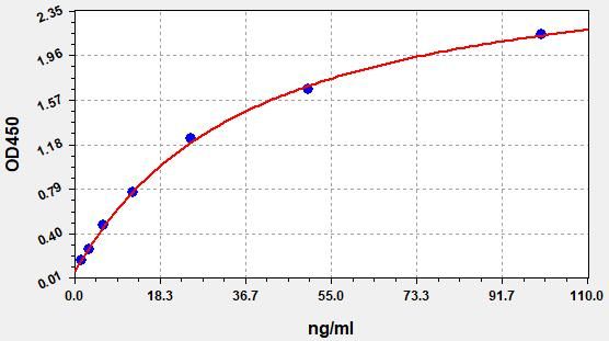 Mouse sheep red blood cell Immunoglobulin G (SRBC-IgG) ELISA kit EKFT16677MU