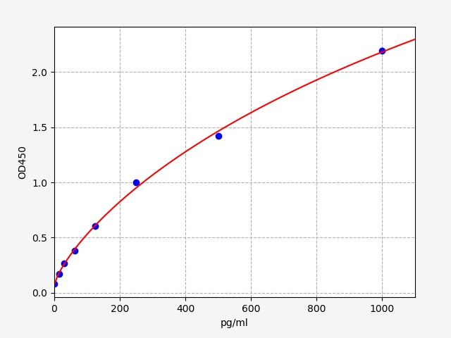 Porcine Basic Fibroblast Growth Factor (bFGF/FGF2) ELISA Kit EKFT17125PC