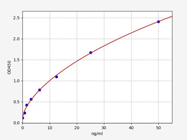 Porcine Matrix Metalloproteinase 1 (MMP-1) ELISA Kit EKFT17194PC