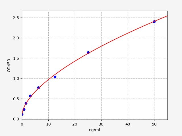 Porcine Matrix Metalloproteinase 9 (MMP-9) ELISA Kit EKFT17197PC
