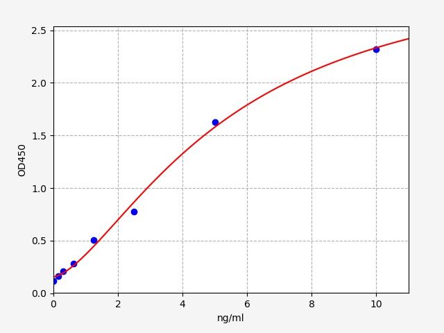 Porcine Matrix metalloproteinase-14 (MMP14) ELISA Kit EKFT17277PC