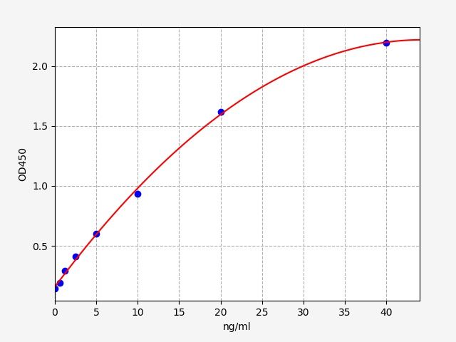 Rat Soluble Cluster of Differentiation 41 Ligand (SCD86/B7-2) ELISA Kit EKFT17356RATSC