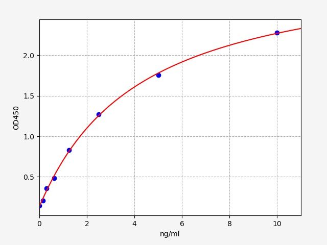 Rat Angiopoietin-1 (ANG-1) ELISA Kit EKFT17362RAT
