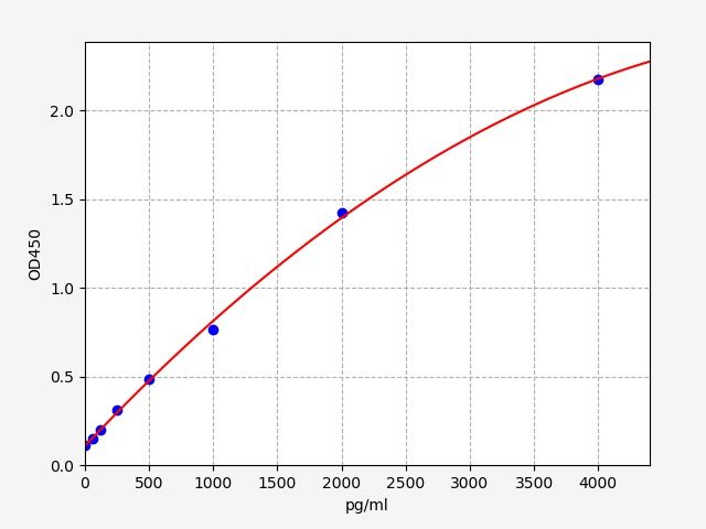 Rat Bone Morphogenetic Protein 2 (BMP-2) ELISA Kit EKFT17365RAT