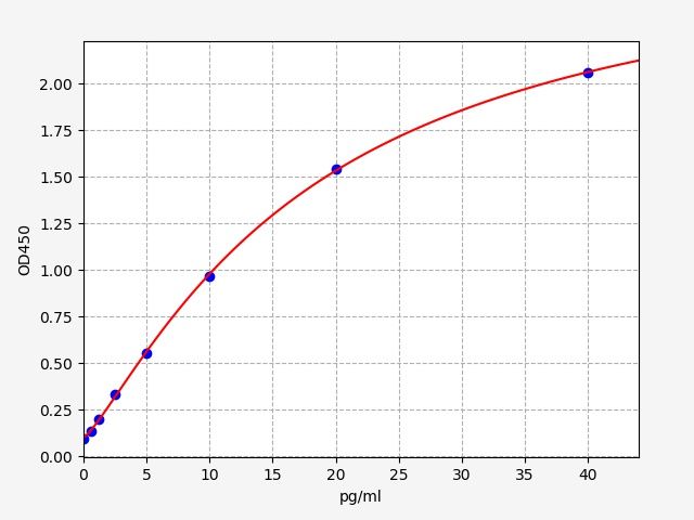 Rat Interferon γ (IFN-γ) ELISA Kit EKFT17367-CMRAT