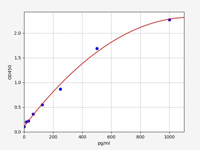 Rat Interferon γ (IFN-γ) ELISA Kit EKFT17368RAT