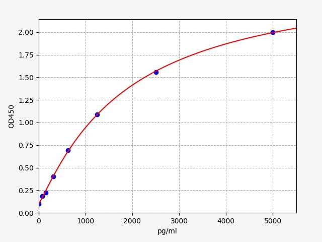 Rat Soluble Cluster of Differentiation 8 (sCD80) ELISA Kit EKFT17370RAT