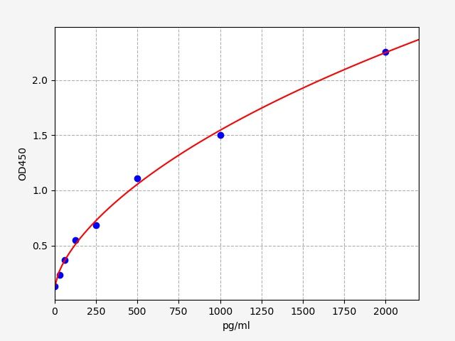 Rat Interleukin-18 (IL-18) ELISA Kit EKFT17388RAT
