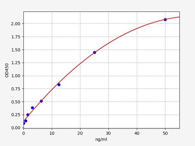 Rat Sodium/glucose cotransporter 2 (SGLT2) ELISA Kit EKFT17401RAT
