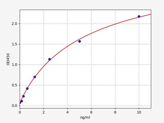 Rat Glycogen synthase kinase-3 beta (GSK3β) ELISA Kit EKFT17406RAT