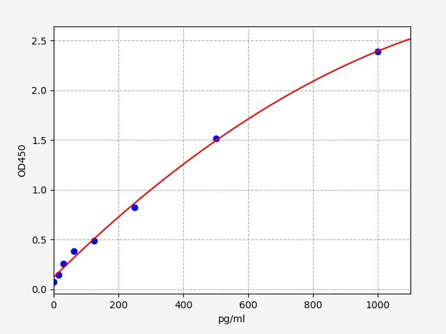 Rat Transforming Growth Factor Beta 2 (TGF-β2) ELISA Kit EKFT17408RAT
