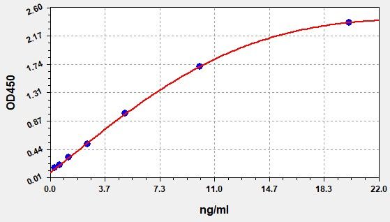 Rat Caspase 3 (Casp3) ELISA Kit EKFT17439RAT
