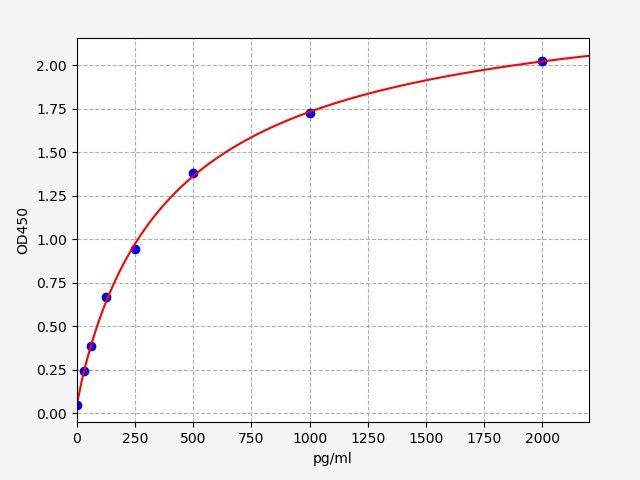 Rat Connective tissue growth factor (Ctgf) ELISA Kit EKFT17477RAT