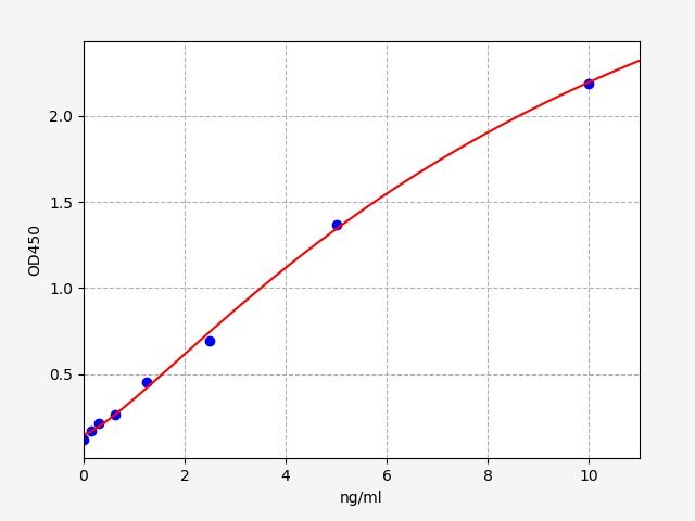 Rat RegeneRating islet-derived protein 3-beta (Reg3b) ELISA Kit EKFT17535RAT