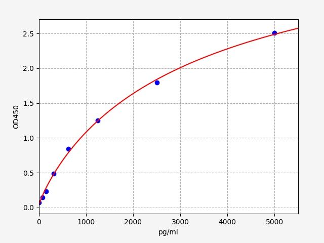 Rat C-Peptide (C-P) ELISA Kit EKFT17543RAT