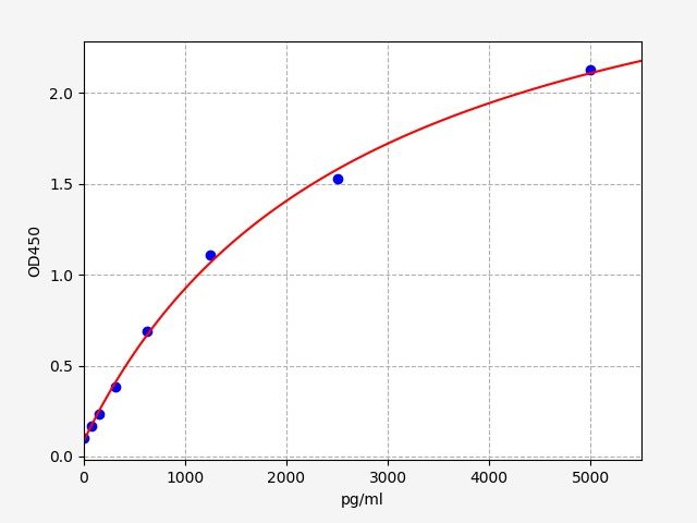 Rat Cellular tumor antigen p53 (Tp53) ELISA Kit EKFT17602RAT