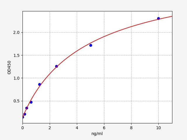 Rat T-cell surface glycoprotein CD8 alpha chain (Cd8a) ELISA Kit EKFT17606RAT