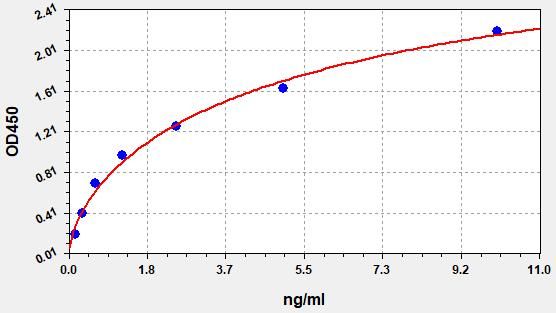 Rat Cytochrome P450 1A1 (Cyp1a1) ELISA Kit EKFT17615RAT