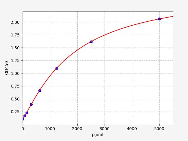 Rat Beclin-1 (Becn1) ELISA Kit EKFT17620RAT