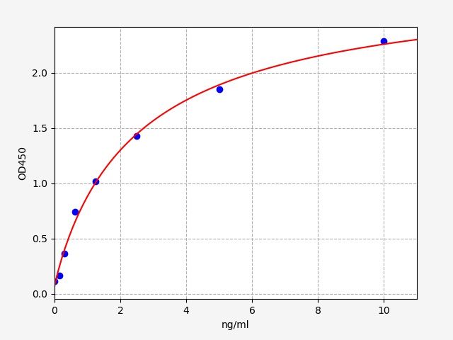 Rat Kynurenine/alpha-aminoadipate aminotransferase, mitochondrial (Aadat) ELISA Kit EKFT17678RAT
