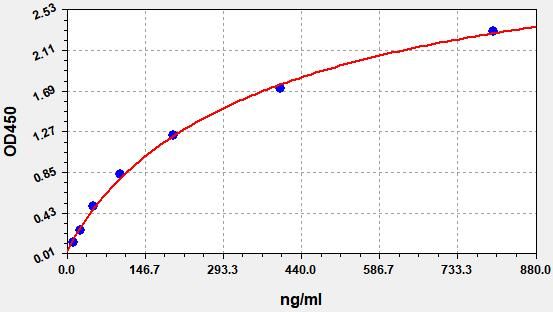 Rat Drd1 (D (1A) dopamine receptor) ELISA Kit EKFT17695RAT
