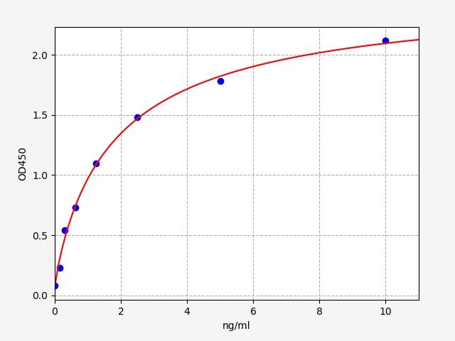 Rat Serine/threonine-protein kinase STK11 (STK11) ELISA Kit EKFT17696RAT