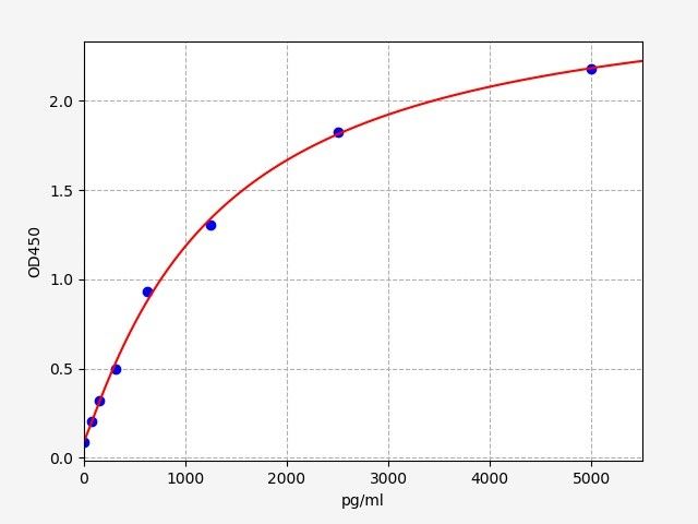 Rat NF-kappa-B-activating protein (Nkap) ELISA Kit EKFT17704RAT