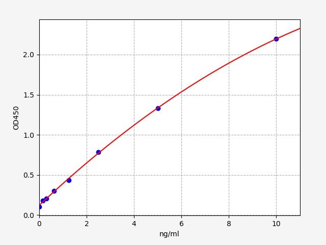 Rat L-asparaginase (Asrgl1) ELISA Kit EKFT17717RAT