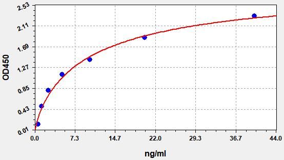 Rat Cytochrome P450 3A2 (Cyp3a2) ELISA Kit EKFT17740RAT