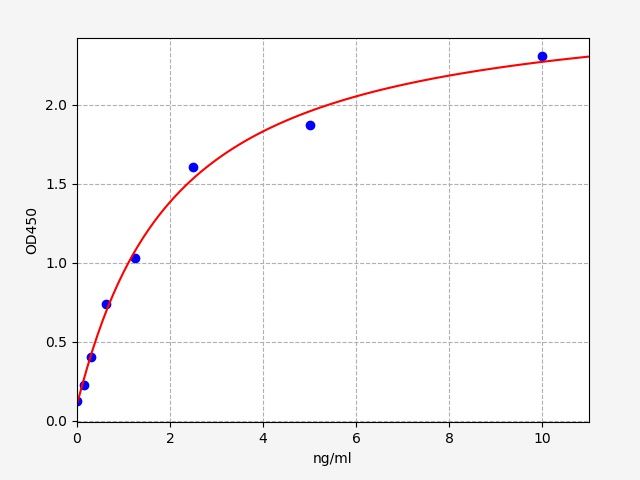 Rat Glutamyl aminopeptidase (Enpep) ELISA Kit EKFT17742RAT