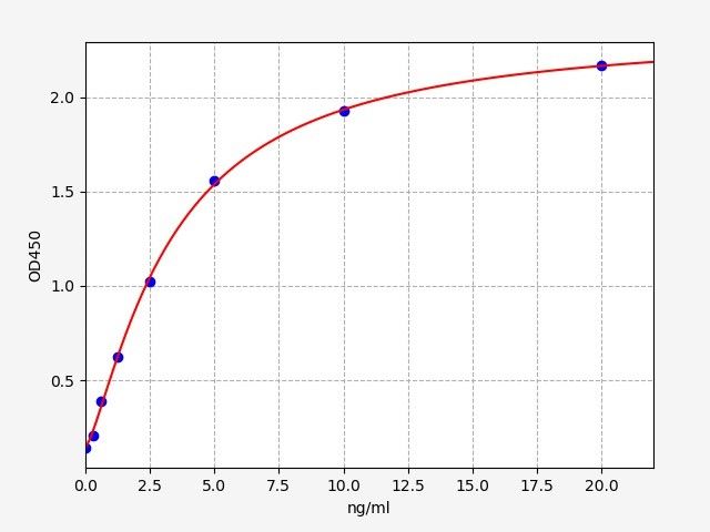 Rat Receptor tyrosine-protein kinase erbB-2 (Erbb2) ELISA Kit EKFT17785RAT