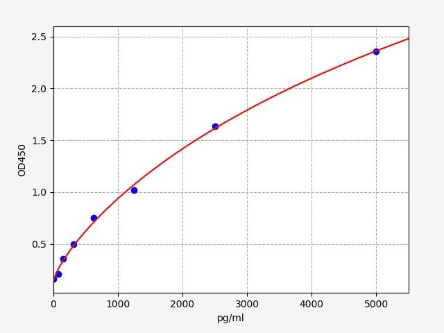 Rat Cathepsin S (Ctss) ELISA Kit EKFT17792RAT