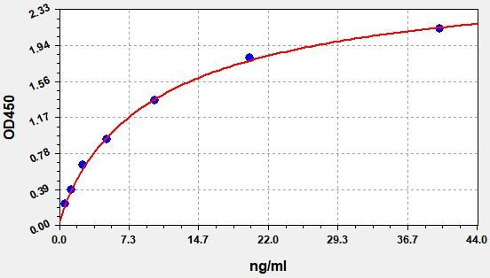 Rat Steroid 17-alpha-hydroxylase/17,20 lyase (Cyp17a1) ELISA Kit EKFT17800RAT