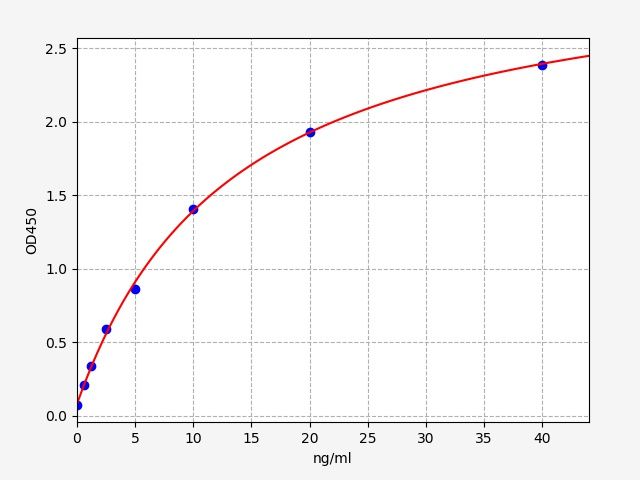 Rat Synaptophysin (Syp) ELISA Kit EKFT17819RAT