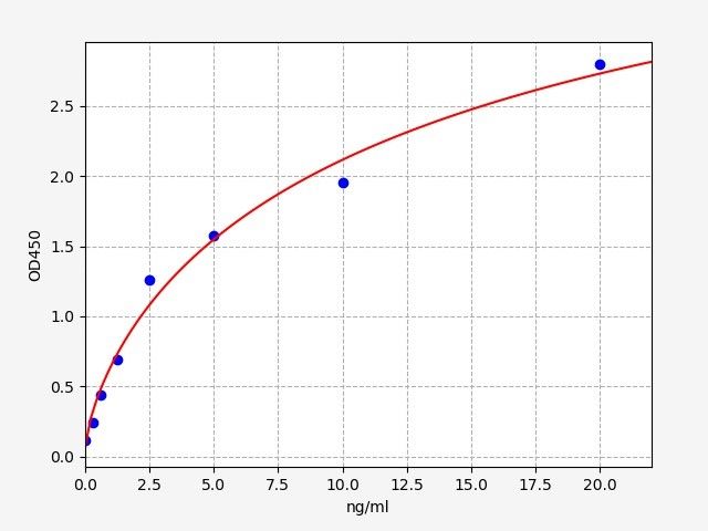 Rat Estrogen sulfotransferase, isoform 2 (Ste2) ELISA Kit EKFT17855RAT