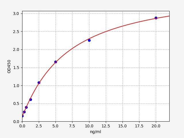 Rat Nicotinamide Adenine Dinucleotide Phosphate Oxidase 1 (Nox1) ELISA Kit EKFT17859RAT