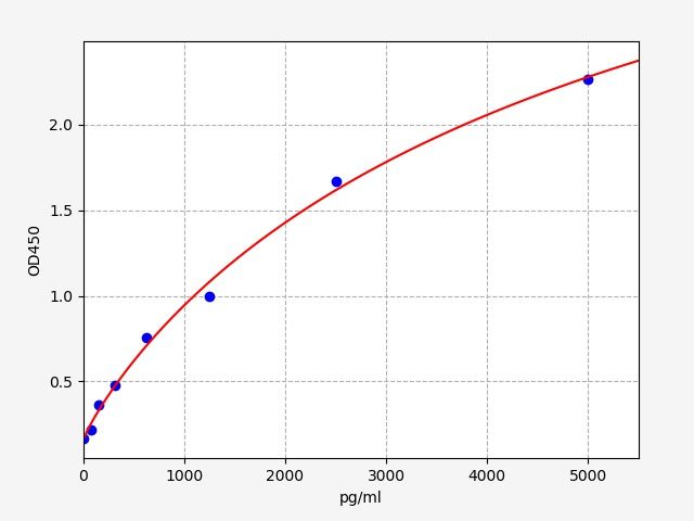 Rat Amine oxidase [flavin-containing] B (Maob) ELISA Kit EKFT17883RAT