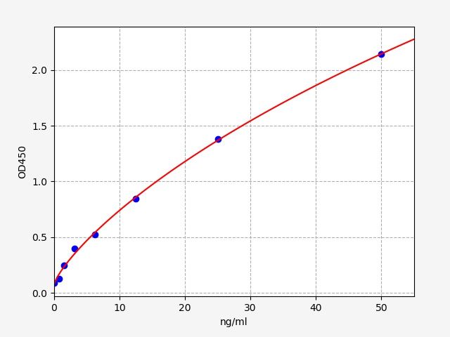 Rat ALPI (Alkaline Phosphatase, Intestinal) ELISA Kit EKFT17895RAT