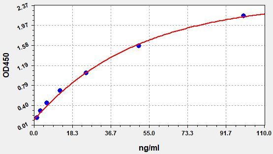 Rat Amylase Alpha 2, Pancreatic (AMY2) ELISA Kit EKFT17899RAT