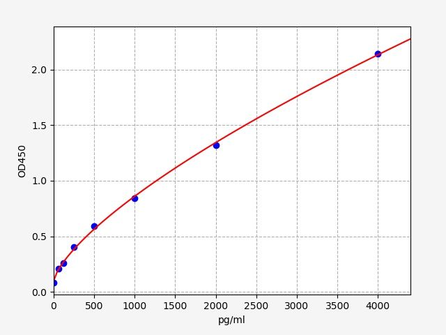 Rat Angiogenin (ANG) ELISA Kit EKFT17900RAT
