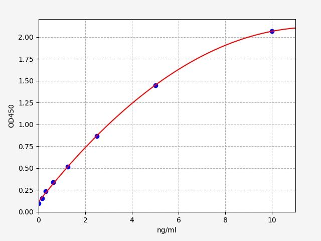 Rat Beta Site APP Cleaving Enzyme 1 (BACE1) ELISA Kit EKFT17916RAT