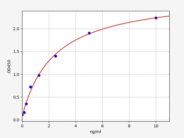 Rat Calmodulin (CAM) ELISA Kit EKFT17949RAT