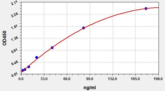 Rat Creatine Kinase 1B, Mitochondrial (CKMT1B) ELISA Kit EKFT17983RAT